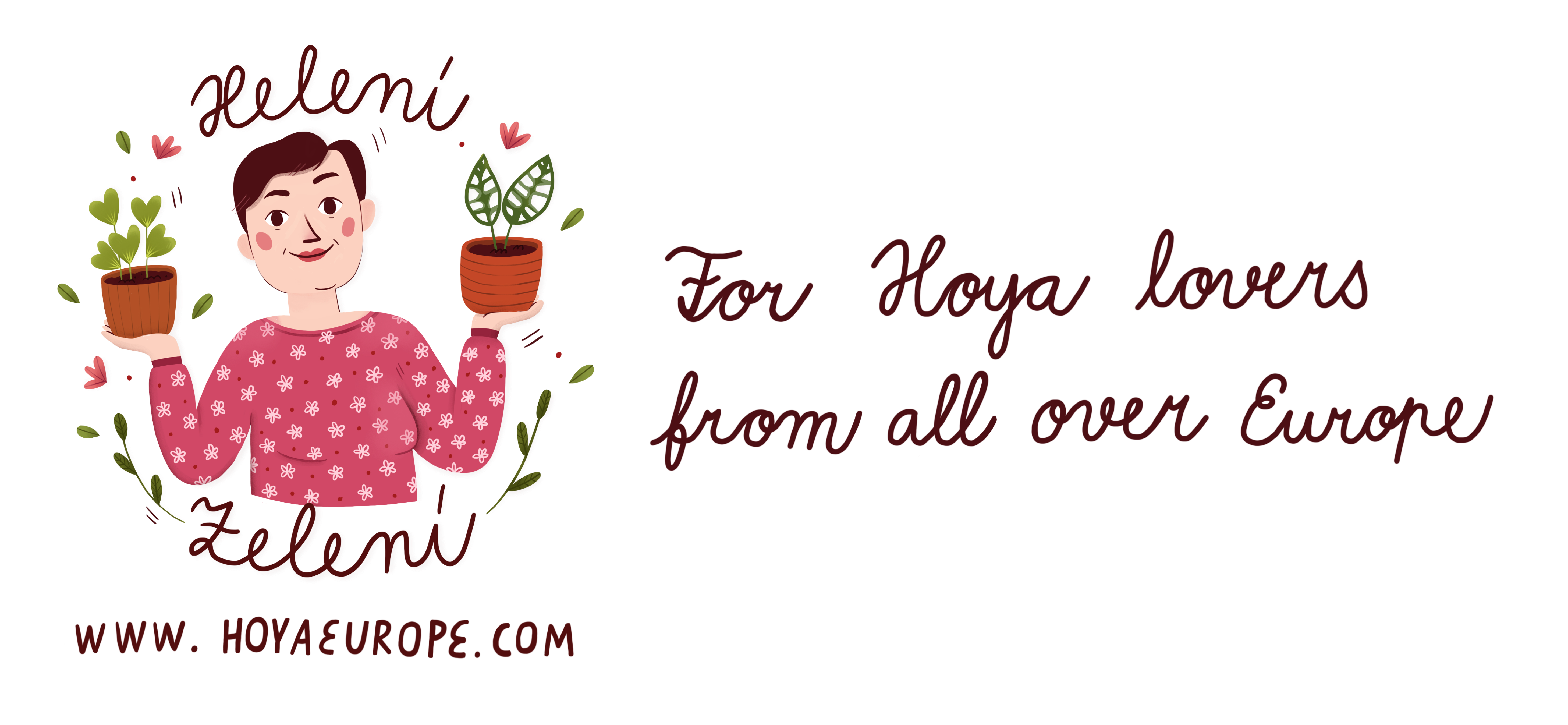 Hoya Europe | Helení Zelení