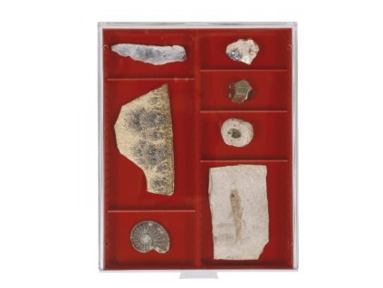 2 pole s variabilním členěním