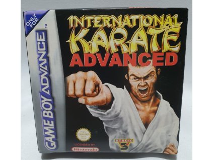 INTERNATIONAL KARATE ADVANCE Game Boy Advance