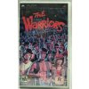 The WARRIORS Playstation Portable