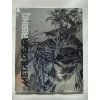 METAL GEAR RISING Revengeance steelbook + KÓD CUSTOM BODY INFERNO ARMOR Playstation S3/Xbox 360