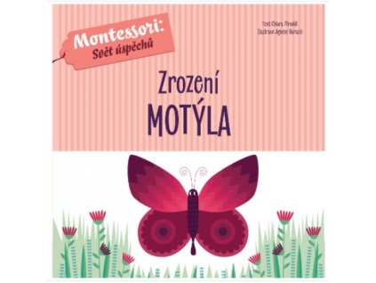 motyl