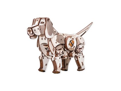 puppy1