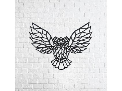 owl 01 01