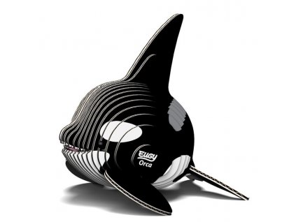 orca1