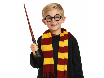 Hůlka a brýle HARRY POTTER