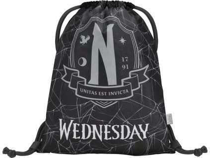 148741 baagl sacek wednesday nevermore