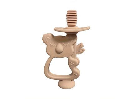 koala1