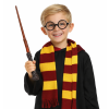 Hůlka a brýle HARRY POTTER
