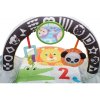 Fisher Price Dečka pro aktivní zábavu 2v1 - poškozený obal