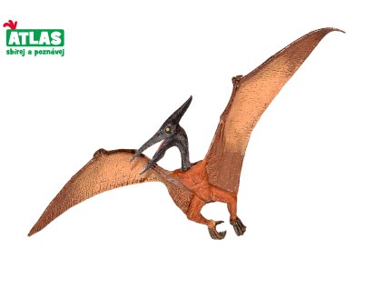 C - Figurka Dino Pteranodon 22 cm