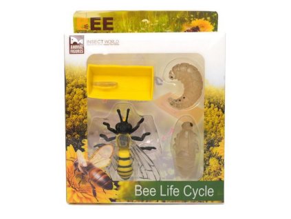 E - Figurka Včela vývojový cyklus set 4 ks 6 cm