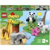 LEGO 10904 Duplo Zvířecí mláďátka