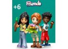 Friends