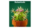 Botanicals