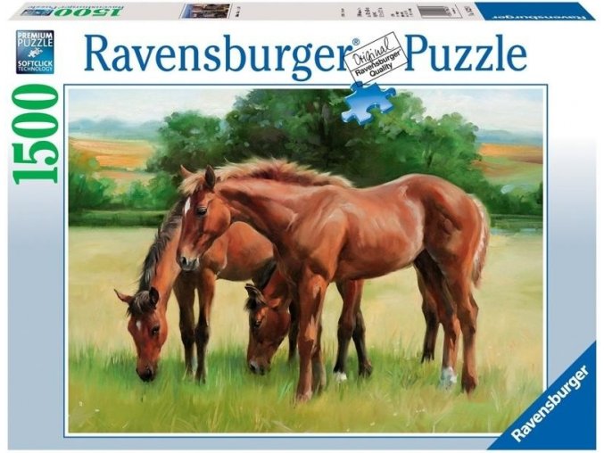 puzzle Koně v trávě 1500d, Ravensburger