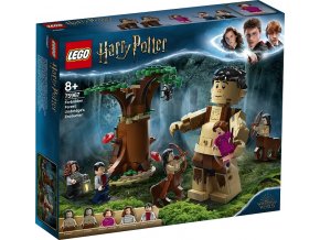 LEGO Harry Potter 75967 Zapovězený les: Setkání Drápa a profesorky Umbridgeové