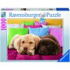 puzzle Blízký přítel 1000d, Ravensburger