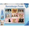 puzzle Perfektní štěnata 200d, Ravensburger