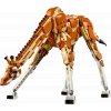 LEGO® Creator 31150 Divoká zvířata ze safari