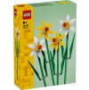 LEGO® Iconic 40747 Narcisy