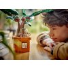 LEGO® Harry Potter™ 76433 Mandragora