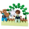 LEGO® DUPLO® 10994 Rodinný dům