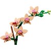 LEGO® 10343 Icons Miniaturní orchidej