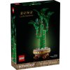 LEGO® 10344 Icons Bambus štěstí