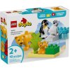 LEGO® DUPLO® 10442 Rodinky divokých zvířat: Tučňáci a lvi