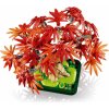 LEGO® Botanicals 10348 Bonsaj – Japonský červený javor