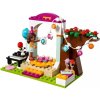 LEGO Friends 41110 Narozeninova oslava 3