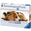 puzzle Nejlepší přítel 1000d, panorama, Ravensburger