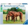 puzzle Koně v trávě 1500d, Ravensburger