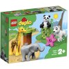 LEGO DUPLO 10904 Zvířecí mláďátka