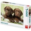 Dino Puzzle Labradoři 500 dílků