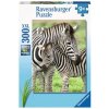 Ravensburger puzzle Oblíbené zebry XXL 300 dílků