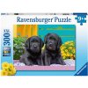 Ravensburger puzzle Roztomilá mláďata XXL 300 dílků