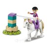 LEGO Friends 41441 Auto s přívěsem a výcvik koníka