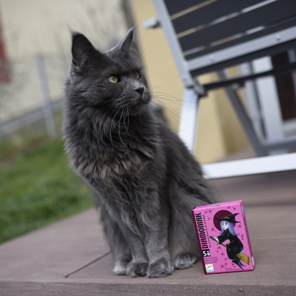 RECENZE: Čarodějnice v růžovém — naše oblíbená karetní hra