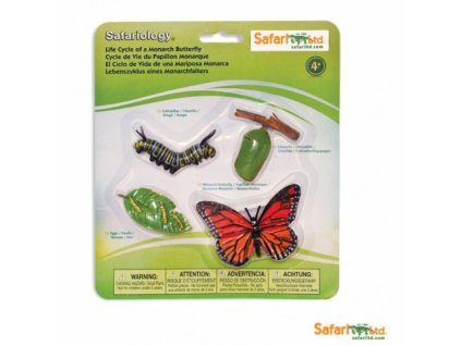 Safari Ltd. | Životní cyklus - Motýl