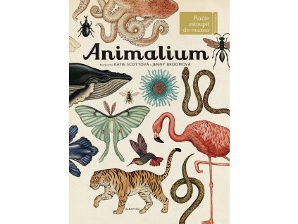 Animalium 9788000044583