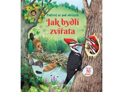 Emily Bone | Jak bydlí zvířata