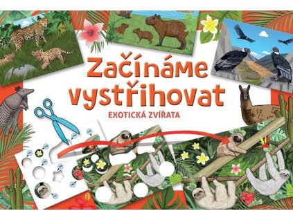 betexa zaciname vystrihovat exotika