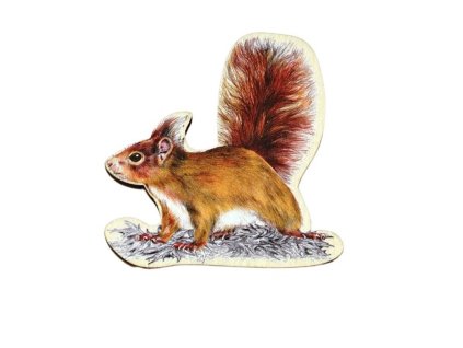 50014 008 veverka magnet