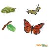 Safari Ltd. | Životní cyklus - Motýl