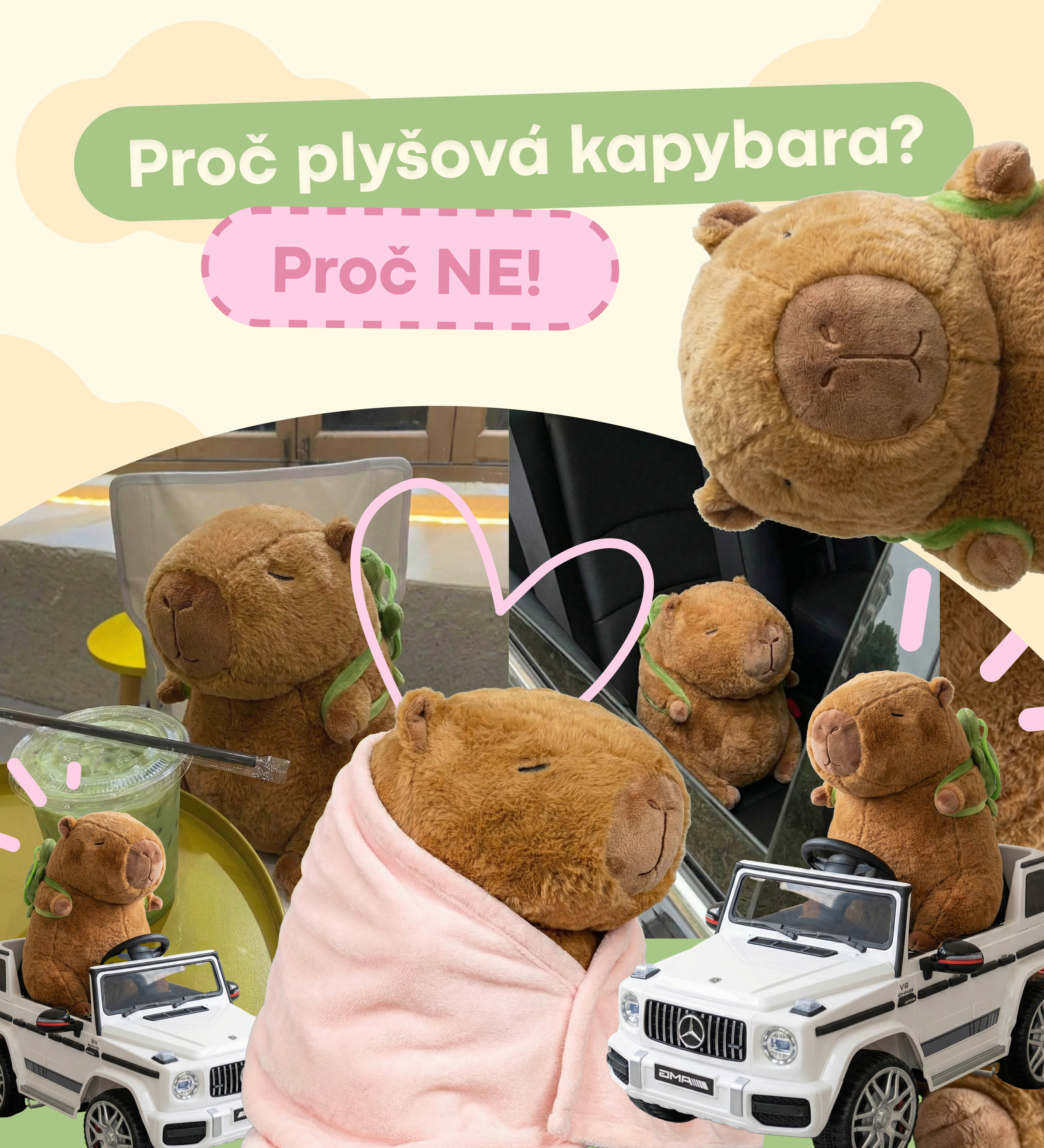 Plyšové kapybary – roztomilé měkké hračky pro děti