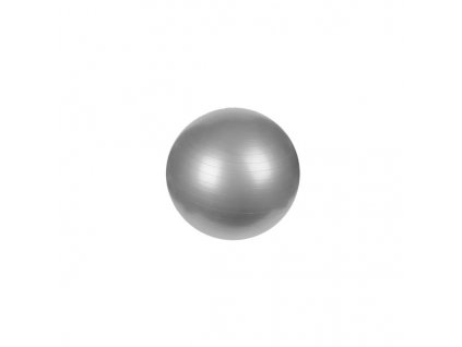 Gymnastický míč PLATINIUM Classic 65 stříbrný