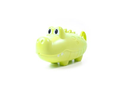 k20253 aga4kids ds5617 1