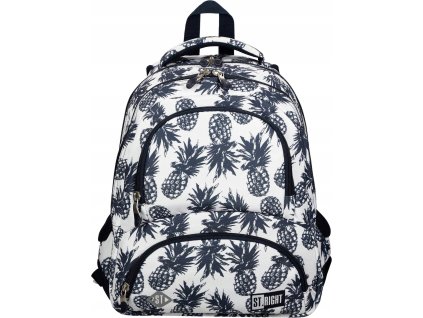 batoh ctyrkomorovy pineapple